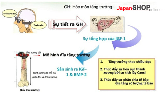 Vi sao chon Viên Uống Tăng Chiều Cao GH Creation 