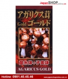 Nấm Agaricus Gold - Tăng Cường Miễn Dịch, Phòng Chống Ung Thư